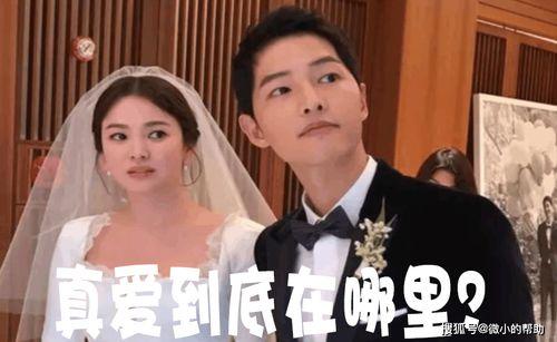 打假娱乐圈吃瓜事件,揭秘幕后真相与吃瓜群众的热议  第3张